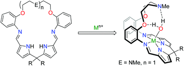 Graphical abstract: Synthesis and structures of transition metal pacman complexes of heteroditopic Schiff-base pyrrole macrocycles