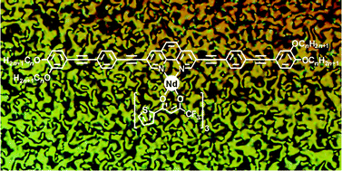 Graphical abstract: Nematogenic tetracatenar lanthanidomesogens
