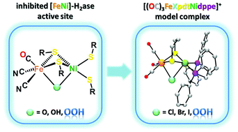 Graphical abstract: Nickel–iron dithiolates related to the deactivated [NiFe]-hydrogenases