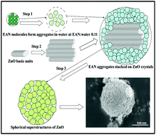 Graphical abstract: Fabrication of different morphologies of ZnO superstructures in presence of synthesized ethylammonium nitrate (EAN) ionic liquid: synthesis, characterization and analysis