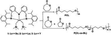Graphical abstract: Bis(imino)diphenylamido rare-earth metal dialkyl complexes: synthesis, structure, and catalytic activity in living ring-opening ε-caprolactone polymerization and copolymerization with γ-butyrolactone