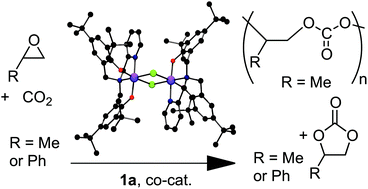 Graphical abstract: Reaction of CO2 with propylene oxide and styrene oxide catalyzed by a chromium(iii) amine-bis(phenolate) complex