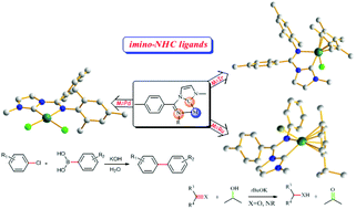 Graphical abstract: Palladium, iridium and ruthenium complexes with acyclic imino-N-heterocyclic carbenes and their application in aqua-phase Suzuki–Miyaura cross-coupling reaction and transfer hydrogenation