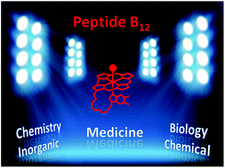 Graphical abstract: Peptide B12: emerging trends at the interface of inorganic chemistry, chemical biology and medicine