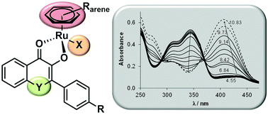 Graphical abstract: 3-Hydroxyflavones vs. 3-hydroxyquinolinones: structure–activity relationships and stability studies on RuII(arene) anticancer complexes with biologically active ligands