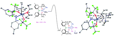 Graphical abstract: Unusually stable tungstenacyclobutadienes featuring an ONO trianionic pincer-type ligand
