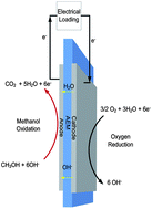 Graphical abstract: Direct oxidation alkaline fuel cells: from materials to systems