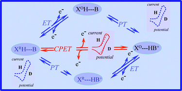 Graphical abstract: Electrochemical approach to proton-coupled electron transfers: recent advances