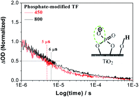 Graphical abstract: Dynamics of photogenerated charges in the phosphate modified TiO2 and the enhanced activity for photoelectrochemical water splitting