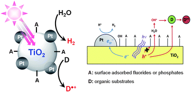 Graphical abstract: Simultaneous production of hydrogen with the degradation of organic pollutants using TiO2 photocatalyst modified with dual surface components