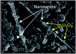 Graphical abstract: The role of vacancies and defects in Na0.44MnO2 nanowire catalysts for lithium–oxygen batteries