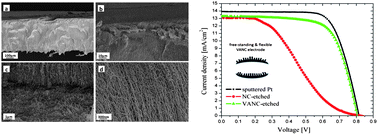 Graphical abstract: A free-standing aligned-carbon-nanotube/nanocomposite foil as an efficient counter electrode for dye solar cells