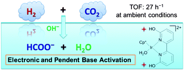 Graphical abstract: Second-coordination-sphere and electronic effects enhance iridium(iii)-catalyzed homogeneous hydrogenation of carbon dioxide in water near ambient temperature and pressure