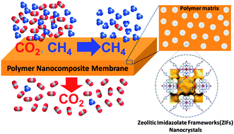 Graphical abstract: Zeolitic imidazolate framework (ZIF-8) based polymer nanocomposite membranes for gas separation