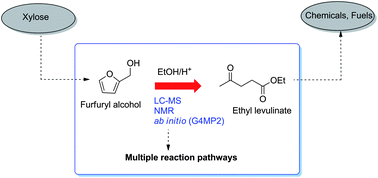 Graphical abstract: Acid-catalyzed conversion of furfuryl alcohol to ethyl levulinate in liquid ethanol