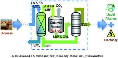 Graphical abstract: A sulfuric acid management strategy for the production of liquid hydrocarbon fuels via catalytic conversion of biomass-derived levulinic acid