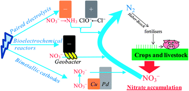 Graphical abstract: Powering denitrification: the perspectives of electrocatalytic nitrate reduction