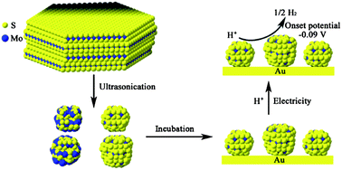 Graphical abstract: Enhanced electrocatalytic activity for hydrogen evolution reaction from self-assembled monodispersed molybdenum sulfide nanoparticles on an Au electrode