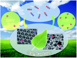 Graphical abstract: Reversible CO2 capture with porous polymers using the humidity swing