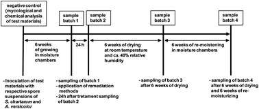 Graphical abstract: Remediation of mould damaged building materials—efficiency of a broad spectrum of treatments