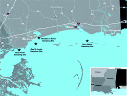 Graphical abstract: Endocrine disrupting chemicals in New Orleans surface waters and Mississippi Sound sediments