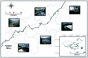 Graphical abstract: Occurrence and removal of endocrine-disrupting chemicals in wastewater treatment plants in the Three Gorges Reservoir area, Chongqing, China
