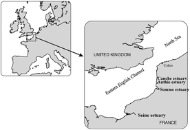 Graphical abstract: Metal concentrations, growth and condition indices in European juvenile flounder (Platichthys flesus) relative to sediment contamination levels in four Eastern English Channel estuaries