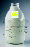 Graphical abstract: Riboflavin as a photosensitizer. Effects on human health and food quality