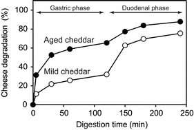 Graphical abstract: Influence of cheese matrix on lipid digestion in a simulated gastro-intestinal environment