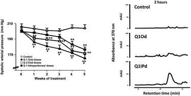 Graphical abstract: Different cardiovascular protective effects of quercetin administered orally or intraperitoneally in spontaneously hypertensive rats