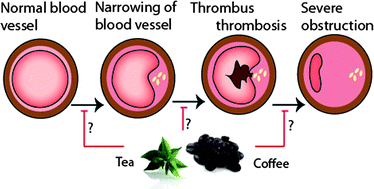 Graphical abstract: Effects of tea and coffee on cardiovascular disease risk