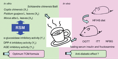 Graphical abstract: Anti-diabetic effect of a traditional Chinese medicine formula