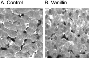 Graphical abstract: Vanillin suppresses Kupffer cell-related colloidal carbon-induced respiratory burst activity in isolated perfused rat liver: anti-inflammatory implications