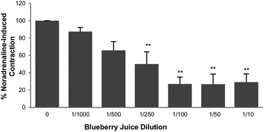 Graphical abstract: Blueberry juice causes potent relaxation of rat aortic rings via the activation of potassium channels and the H2S pathway