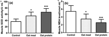 Graphical abstract: Supplementation with oat protein ameliorates exercise-induced fatigue in mice