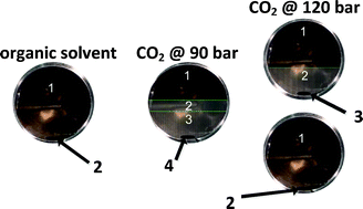 Graphical abstract: Supercritical CO2 as an effective medium for a novel conversion of glycerol and alcohols in the heterogeneous telomerisation of butadiene