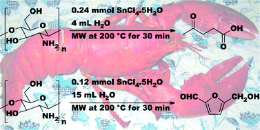 Graphical abstract: Hydrolysis of chitosan to yield levulinic acid and 5-hydroxymethylfurfural in water under microwave irradiation