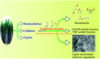 Graphical abstract: Simultaneous delignification and selective catalytic transformation of agricultural lignocellulose in cooperative ionic liquid pairs