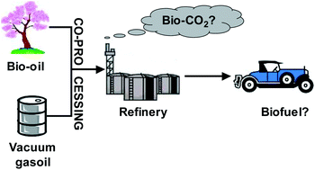 Graphical abstract: The fate of bio-carbon in FCC co-processing products