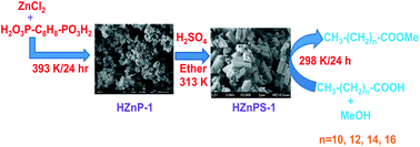 Graphical abstract: Organic–inorganic hybrid porous sulfonated zinc phosphonate material: efficient catalyst for biodiesel synthesis at room temperature