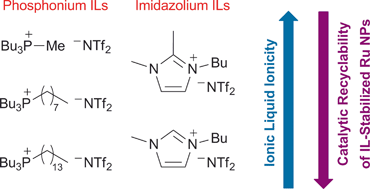 Graphical abstract: Ruthenium nanoparticle catalysts stabilized in phosphonium and imidazolium ionic liquids: dependence of catalyst stability and activity on the ionicity of the ionic liquid