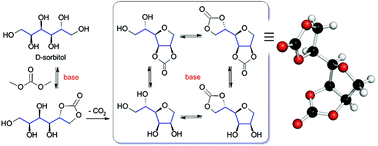 Graphical abstract: Intramolecular etherification of five-membered cyclic carbonates bearing hydroxyalkyl groups