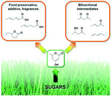 Graphical abstract: Triacetic acid lactone as a potential biorenewable platform chemical