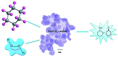Graphical abstract: Room temperature selective oxidation of cyclohexane over Cu-nanoclusters supported on nanocrystalline Cr2O3