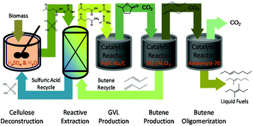 Graphical abstract: Production of butene oligomers as transportation fuels using butene for esterification of levulinic acid from lignocellulosic biomass: process synthesis and technoeconomic evaluation