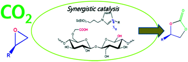 Graphical abstract: A biopolymer mediated efficient synthesis of cyclic carbonates from epoxides and carbon dioxide