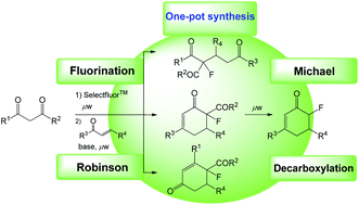 Graphical abstract: One-pot fluorination followed by Michael addition or Robinson annulation for preparation of α-fluorinated carbonyl compounds