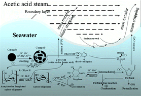 Graphical abstract: Seawater-based furfural production via corncob hydrolysis catalyzed by FeCl3 in acetic acid steam