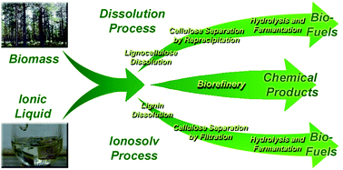 Graphical abstract: Deconstruction of lignocellulosic biomass with ionic liquids