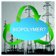 Graphical abstract: Is it possible to develop biopolymer production systems independent of fossil fuels? Case study in energy profiling of polyhydroxybutyrate-valerate (PHBV)